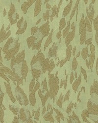 Cheetah 110 Stonewash by   