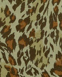 Cheetah 618 Safari by   