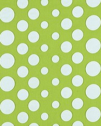 Cirque Du Hilary 200 Avocado by   