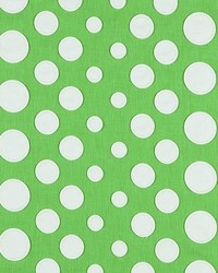 Cirque Du Hilary 282 Lime by   