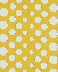 Cirque Du Hilary 8 Daffodil by   