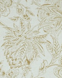 Cyperus 831 Citrine by   