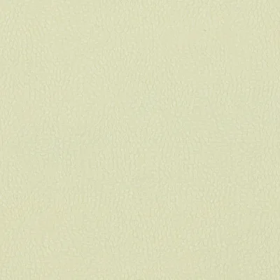 Covington Dot Calm 104 Vanilla