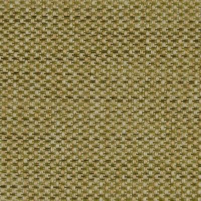 Dakota 209 Basil in covington 2014 Drapery-Upholstery Poly  Blend Fire Rated Fabric NFPA 260   Fabric