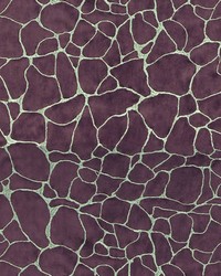 Dare 427 Heather Moon by   