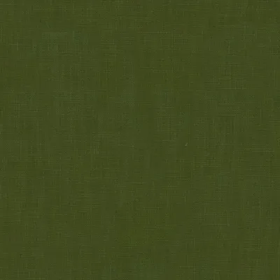 Covington Endless 25 Olive