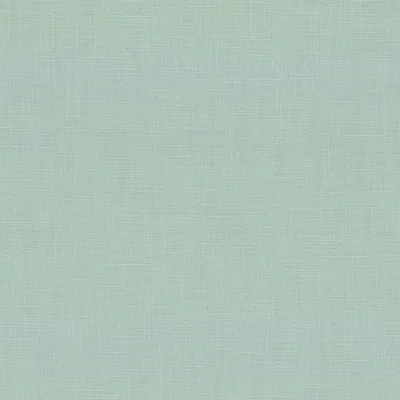 Covington Endless 513 Eggshell Blue