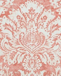 Elizabeth 74 Coral by   