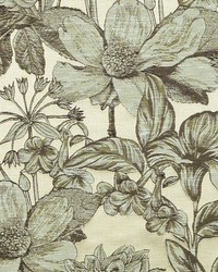 Eva 131 Parchment by   