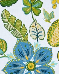 Exotica 523 Caribbean by   