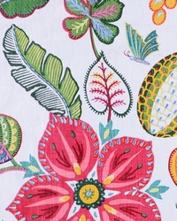 Exotica 75 Sorbet by   