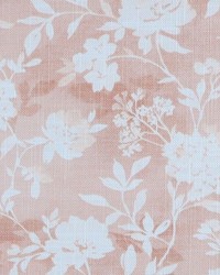 First Light 71 Bella Pink by   