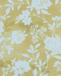 First Light 82 Butter by   