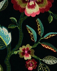 Folk Song 407 Black Raspberry by   