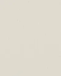 Gallia 117 Shell by   