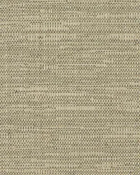 Glint 681 Bronze by   