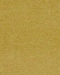 Hadwin 80 Goldenrod by   