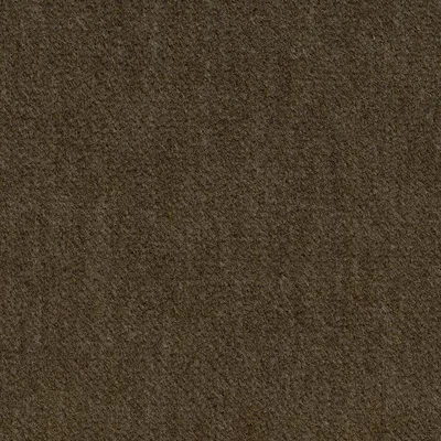 Covington Infatuation 25 Olive