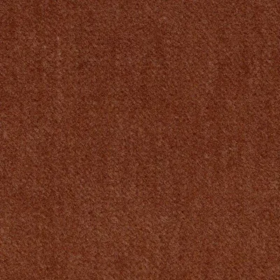 Covington Infatuation 315 Cinnamon
