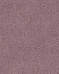 Infatuation 450 Lilac by   