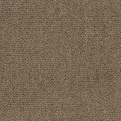 Covington Infatuation 63 Taupe