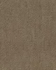 Covington Infatuation 63 Taupe