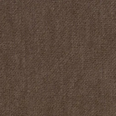 Covington Infatuation 985 Cement