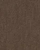 Covington Infatuation 985 Cement