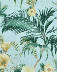 Isabella 528 Sky Blue by   