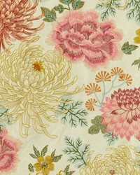 Jacinda 70 Blossom by   