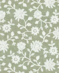 Katya 216 Willow by   