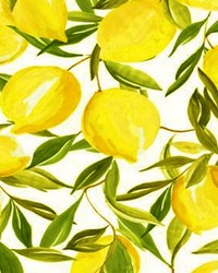 Lemoncello 803 Yellow by  American Silk Mills 