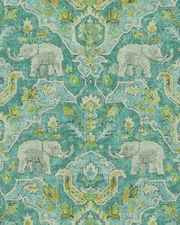 Loxodonta 542 Carbie by   