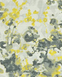 Lynwood 959 Storm by   