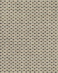 Molecules 952 Stone by   