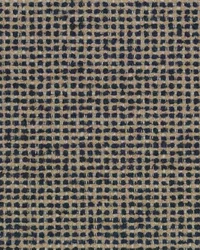 Motley 557 Dark Denim by  Covington 