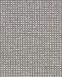 Motley 915 Urban Grey by  Covington 