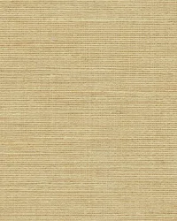 Mulberry 1 Honey Beige by   