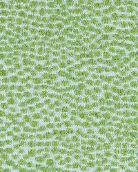 New Dotify 288 Pear by   