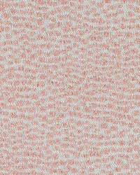 New Dotify 71 Bella Pink by   