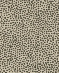 New Dotify 948 Charcoal by   