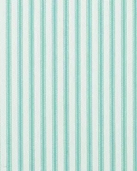 New Woven Ticking 215 Seaspray by   