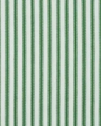 New Woven Ticking 295 Boxwood by   