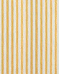 New Woven Ticking 801 Marigold by   
