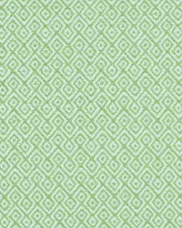 Nisha 206 Greenery by  Covington 