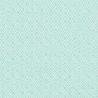 Covington Nisha 544 Mist