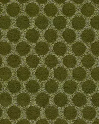 Orbs 25 Olive by  Covington 