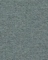 Paso Doble 998 Pewter by  Covington 