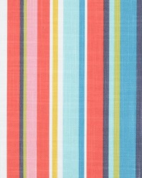 Pauline 332 Fiesta by   