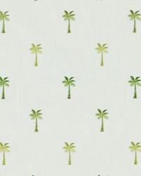 Pindo Palm 214 Tropique by   